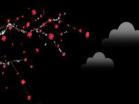 寒冬至，饺香暖