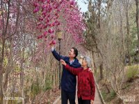 【恒德颐养】春清明，风有信，陪您把春天“走”